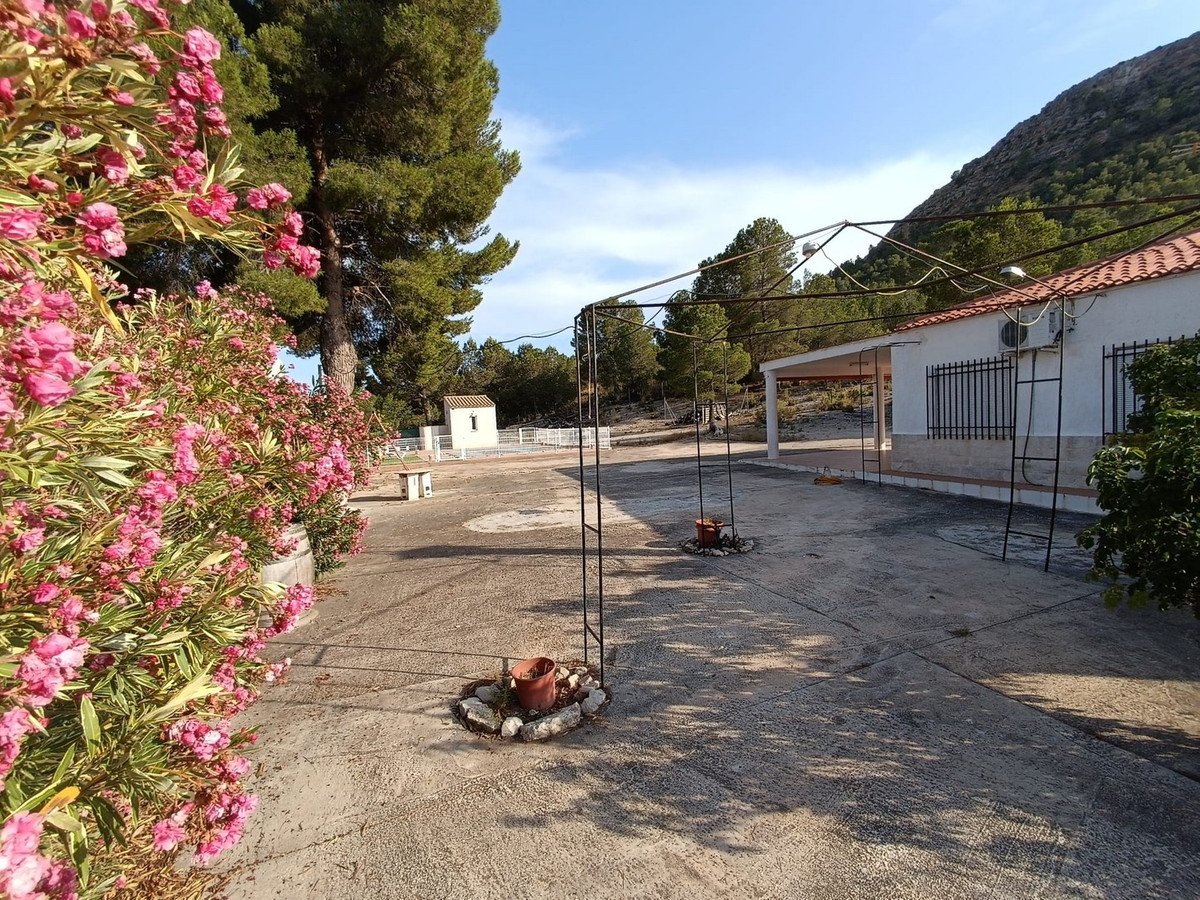 3 Bed Detached Villa in Yecla
