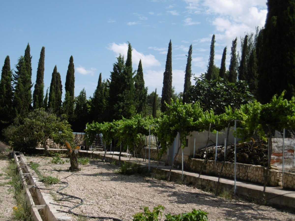 6 Bed Detached Villa in Yecla