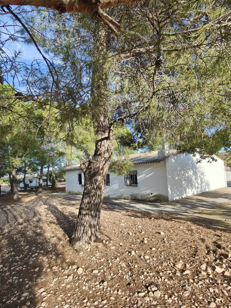 4 Bed Finca - Cortijo in Yecla