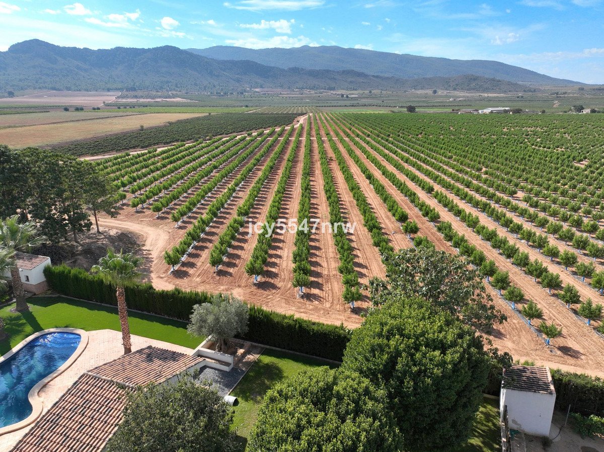 4 Bed Finca - Cortijo in Yecla