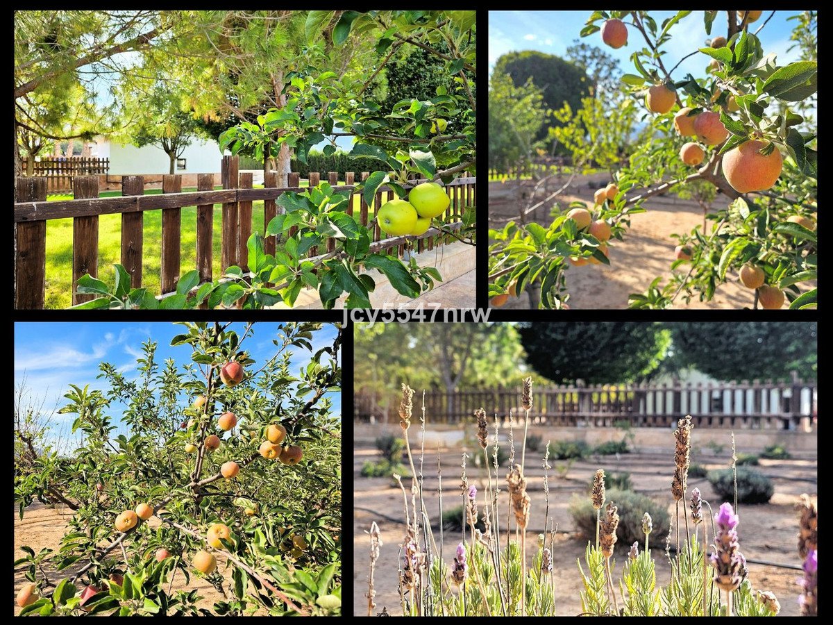 4 Bed Finca - Cortijo in Yecla