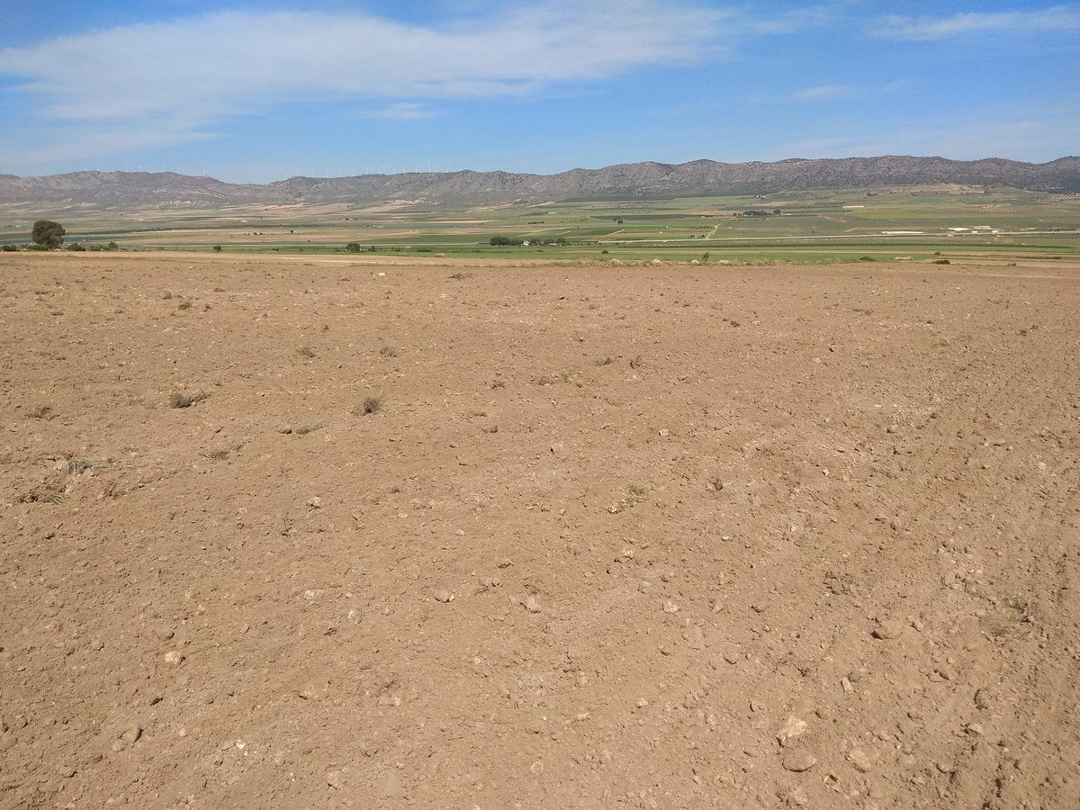 Land in Yecla