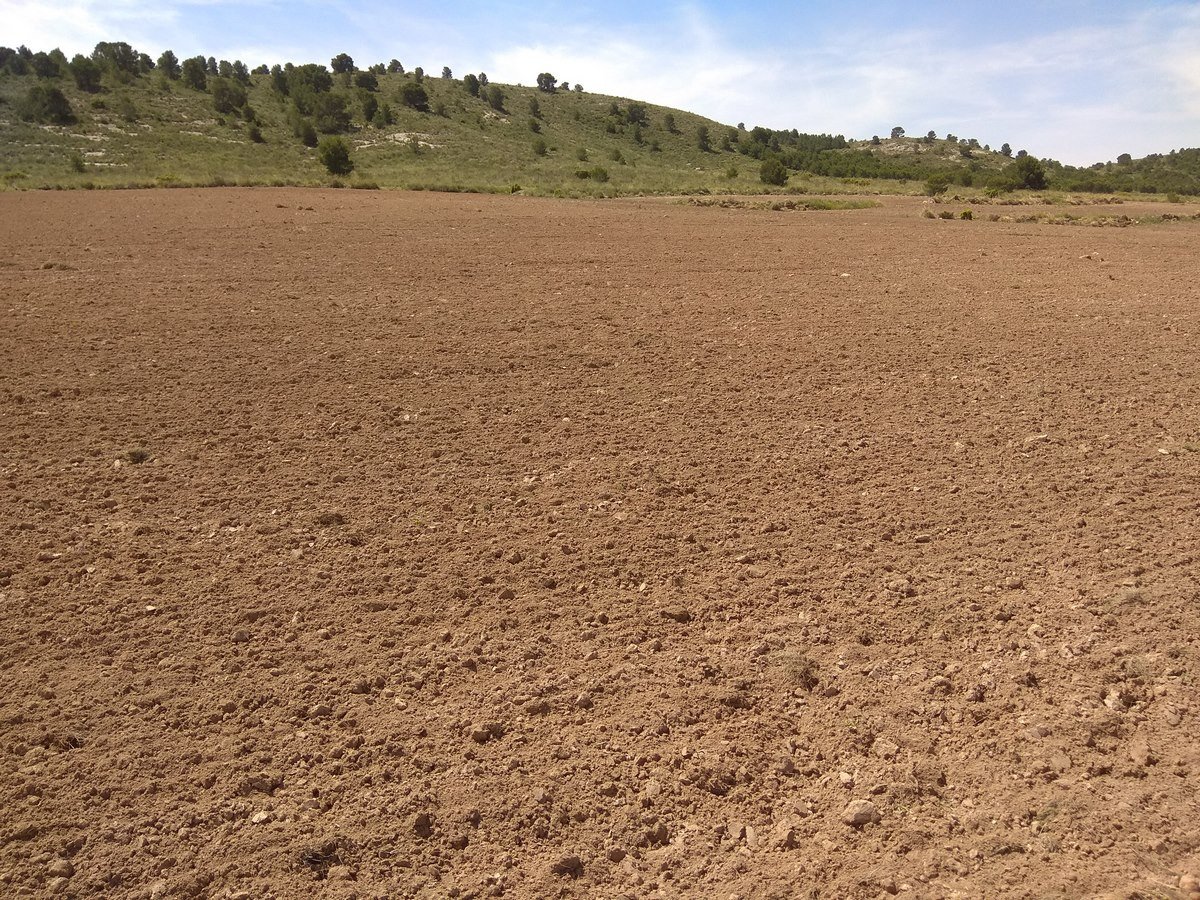 Land in Yecla