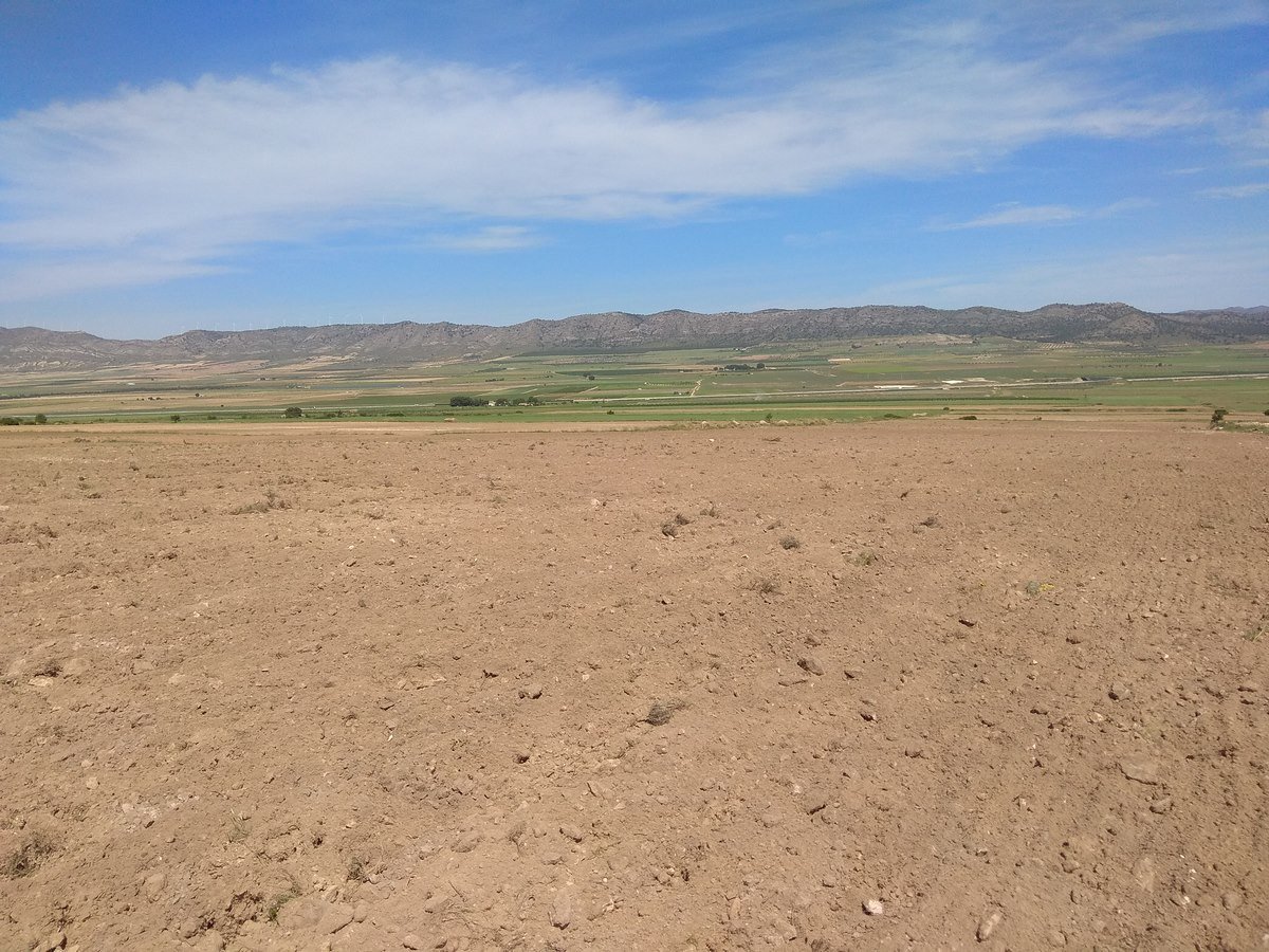 Land in Yecla