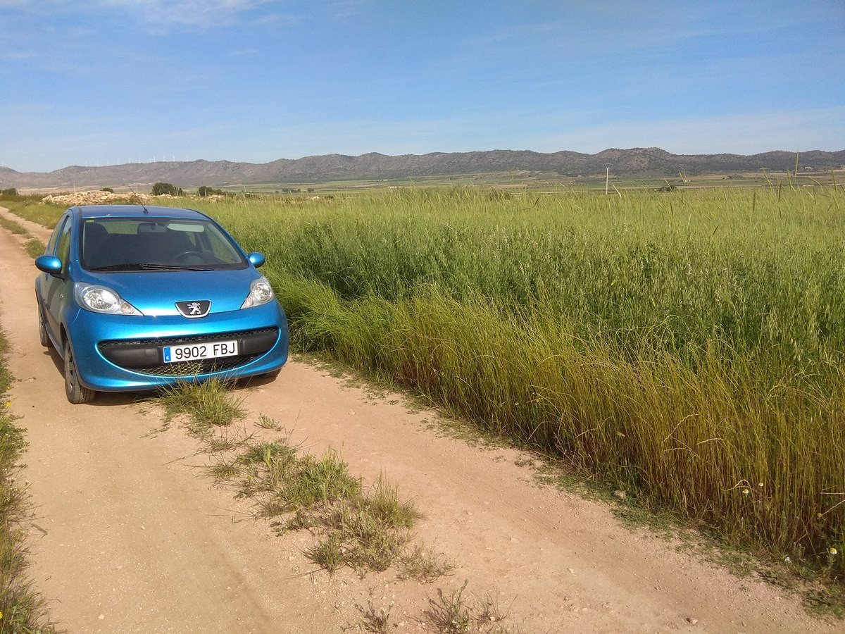 Land in Yecla