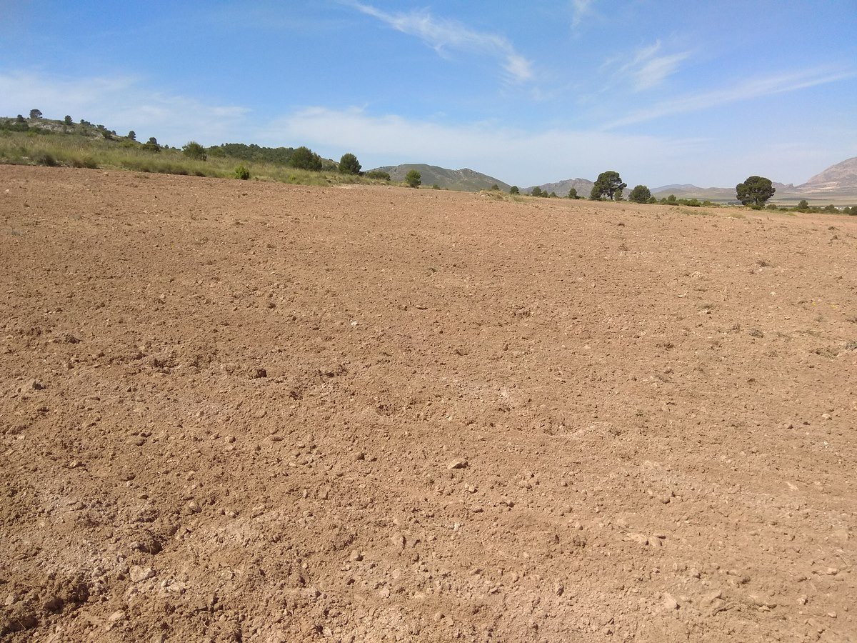Land in Yecla