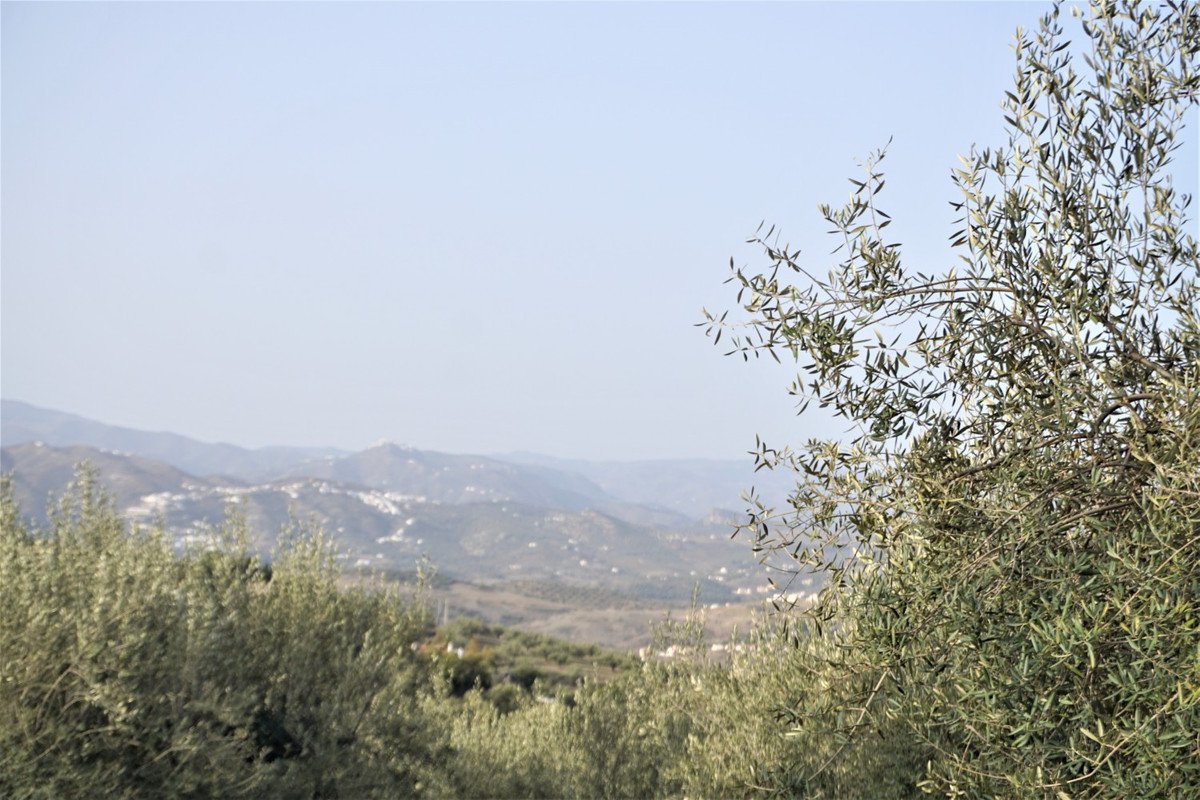 VL038758