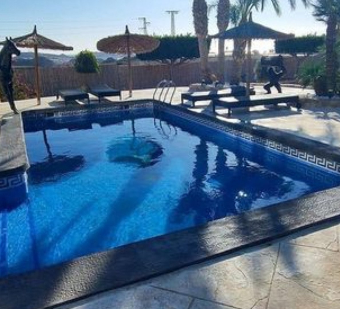 3 Bed Detached Villa in San Juan de los Terreros