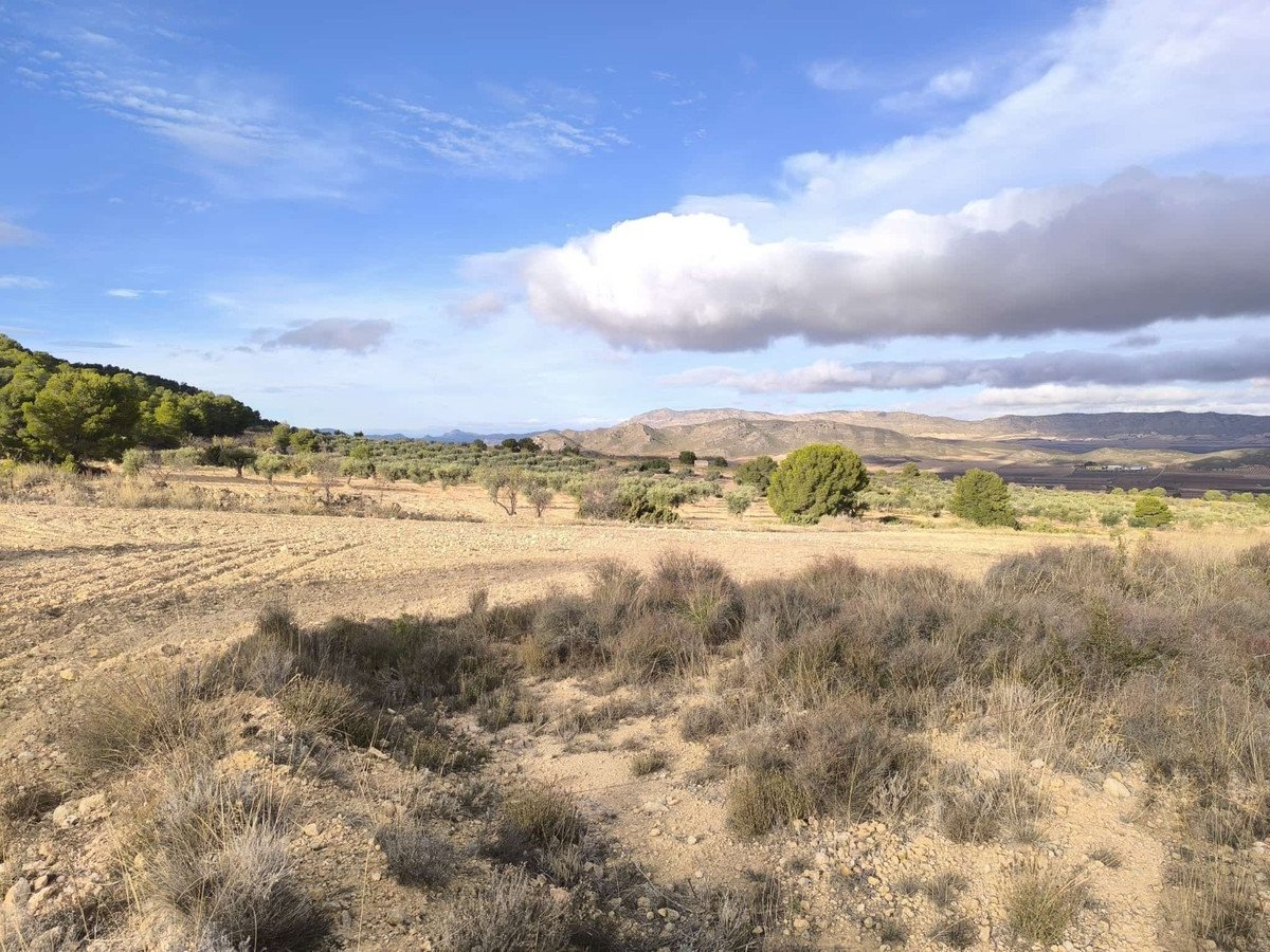 5 Bed Finca - Cortijo in Yecla