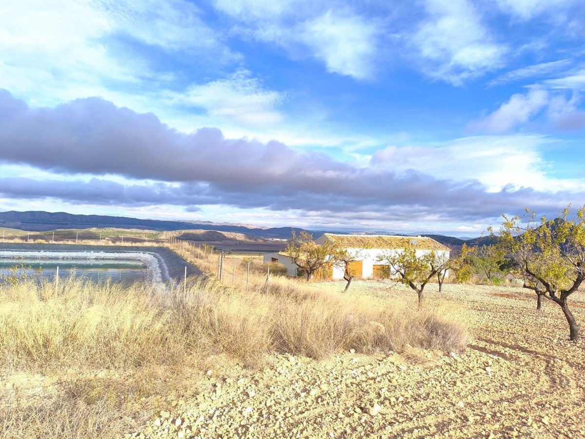 5 Bed Finca - Cortijo in Yecla