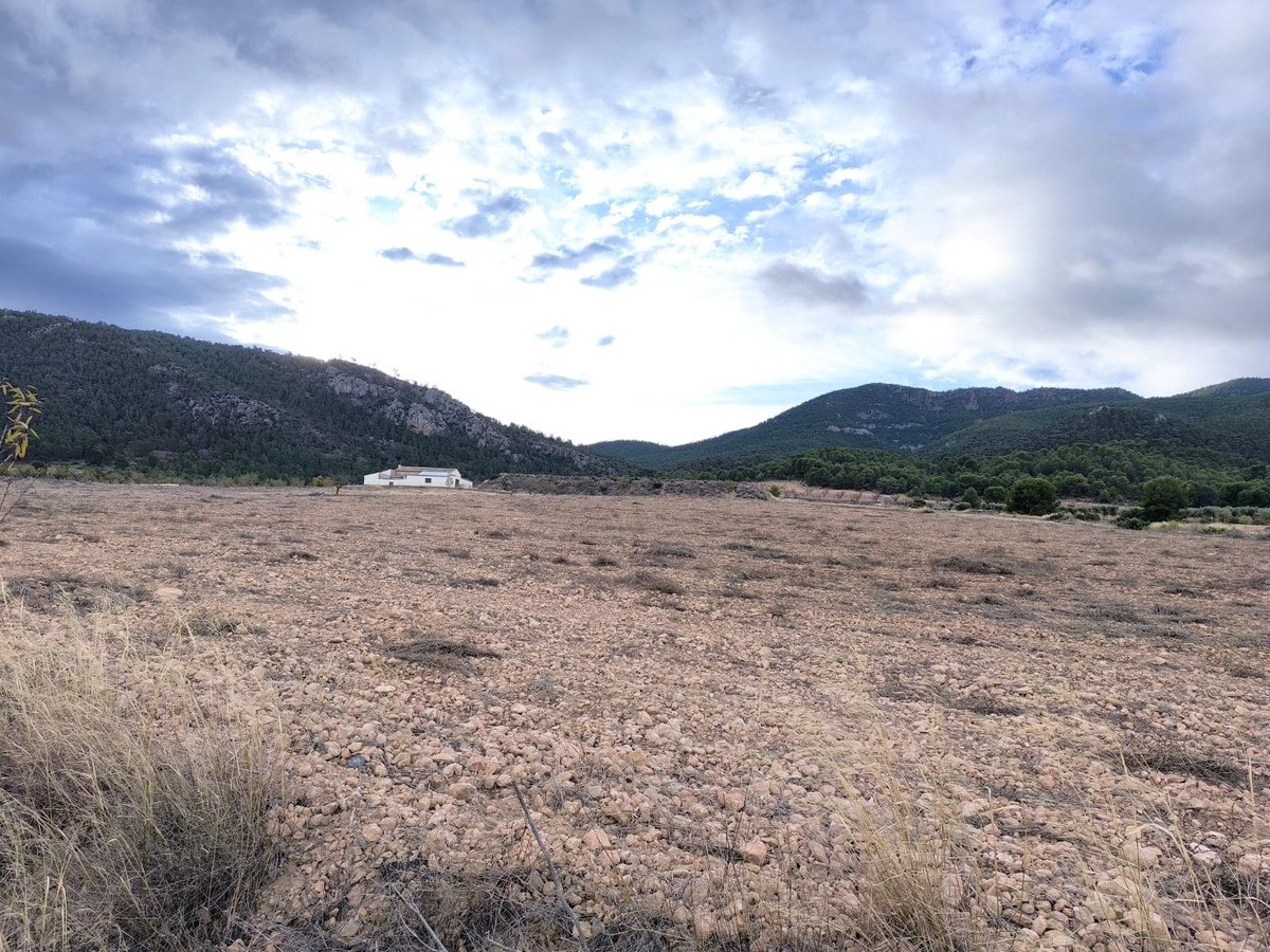 5 Bed Finca - Cortijo in Yecla