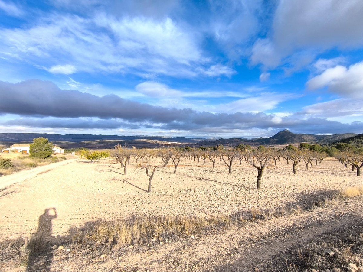 5 Bed Finca - Cortijo in Yecla