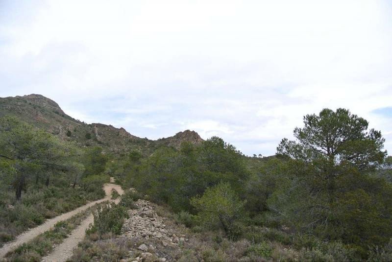 Land in Yecla