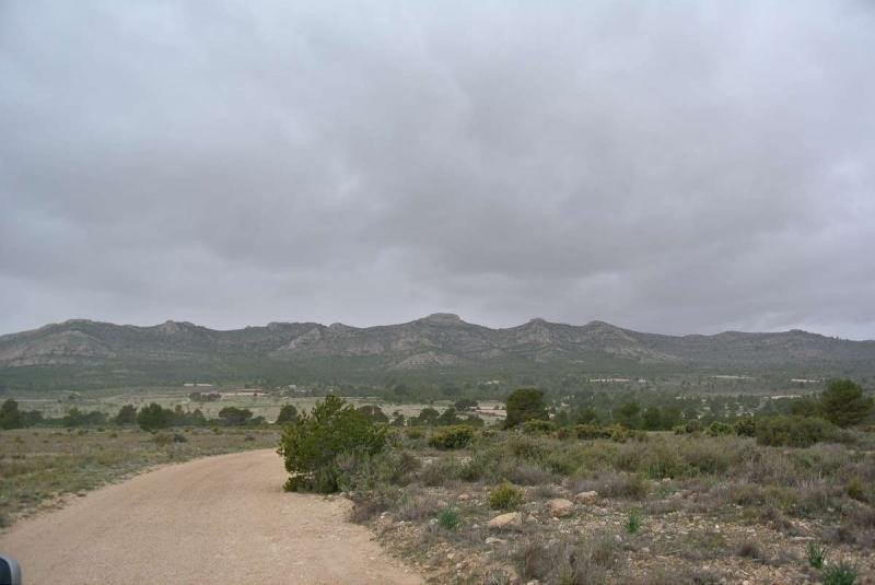 Land in Yecla