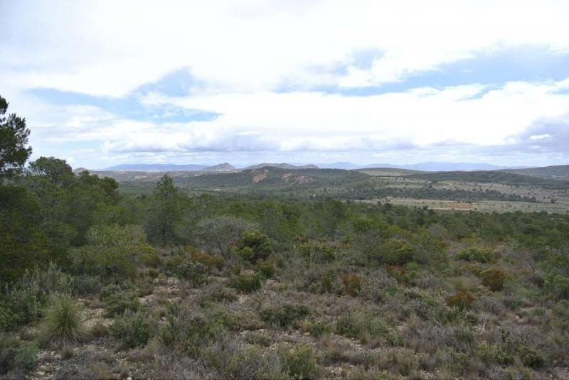 Land in Yecla