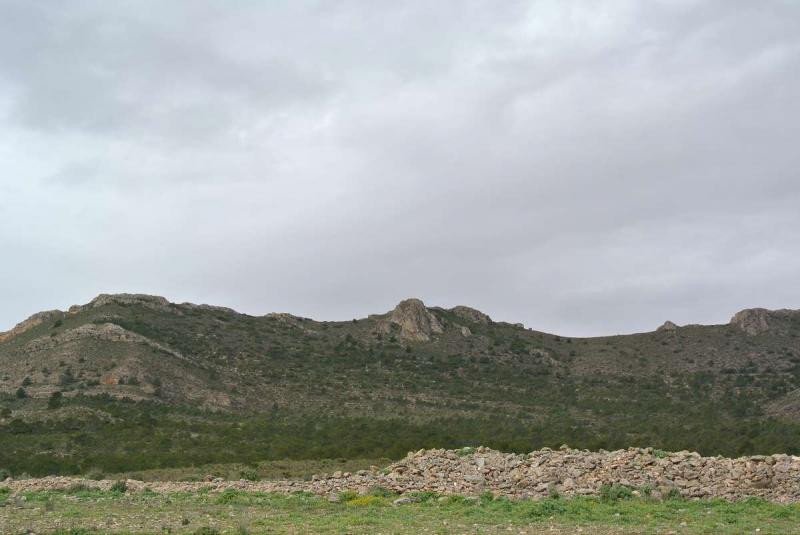 Land in Yecla