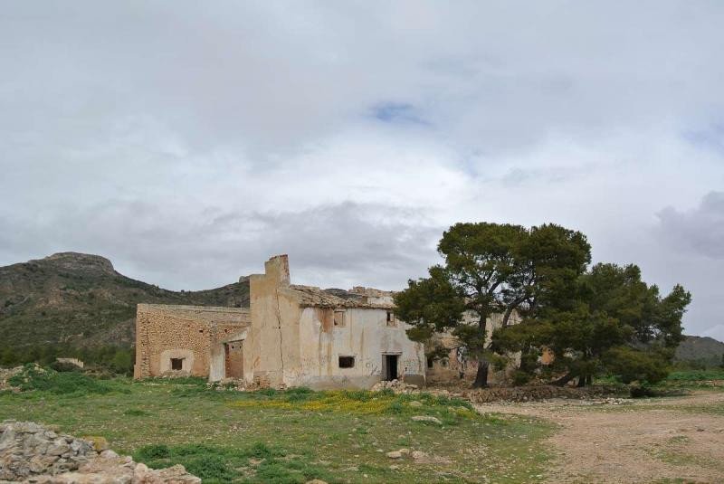 Land in Yecla