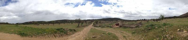 Land in Yecla