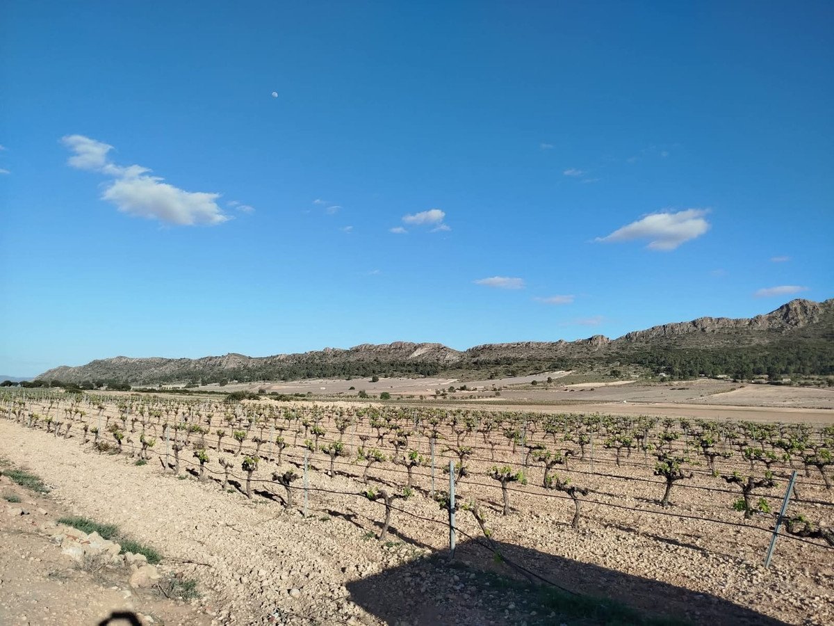 3 Bed Finca - Cortijo in Yecla
