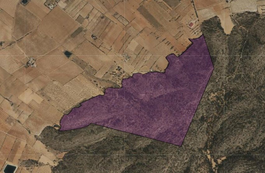 Land in Yecla
