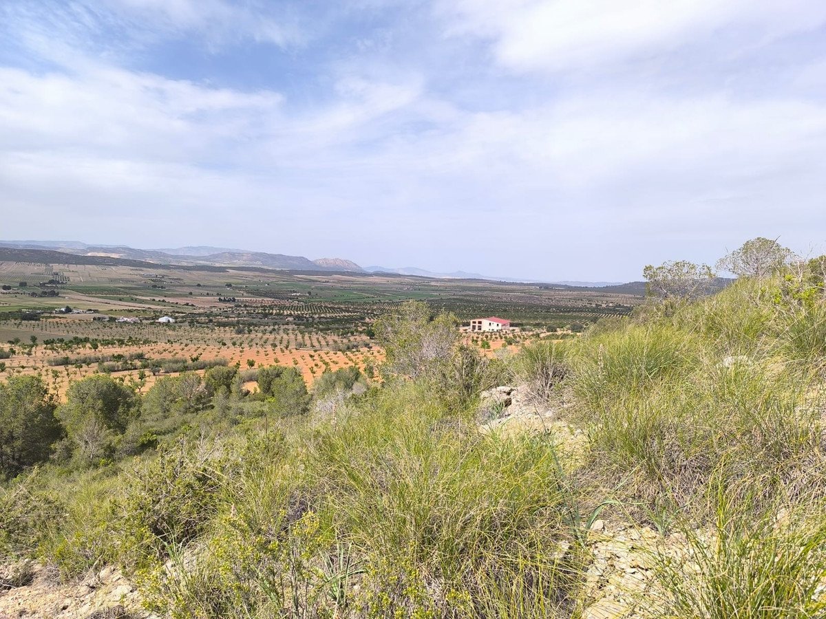 Land in Yecla