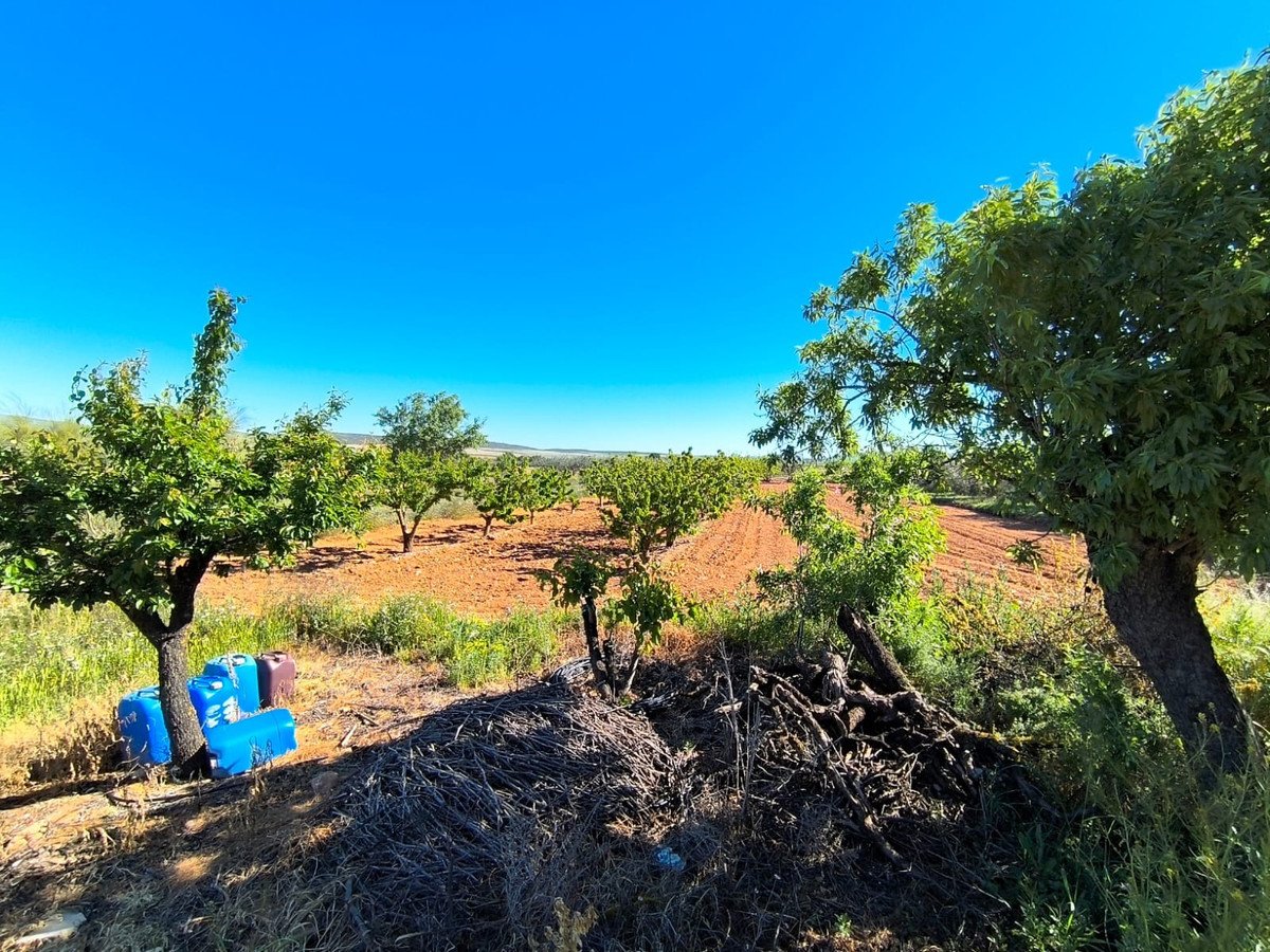 4 Bed Finca - Cortijo in Yecla