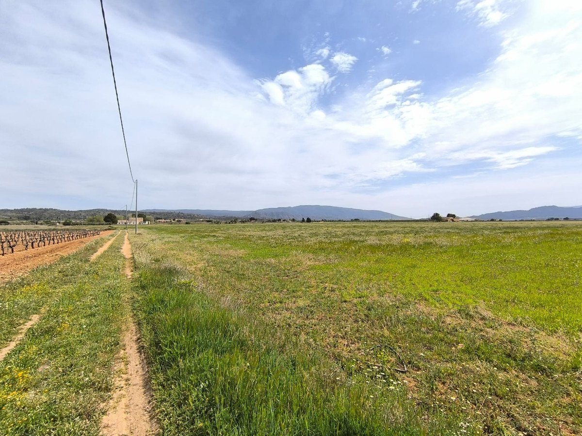 10 Bed Finca - Cortijo in Yecla