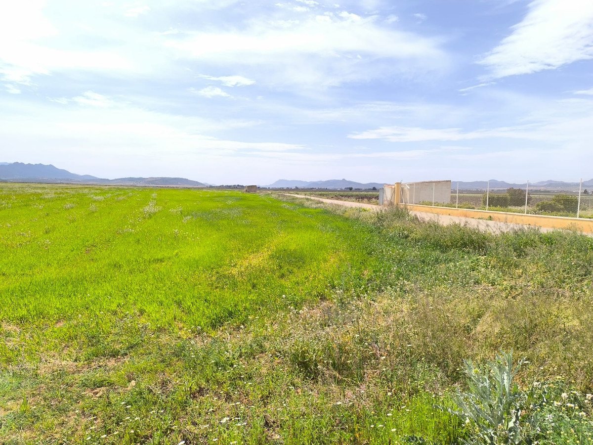 10 Bed Finca - Cortijo in Yecla