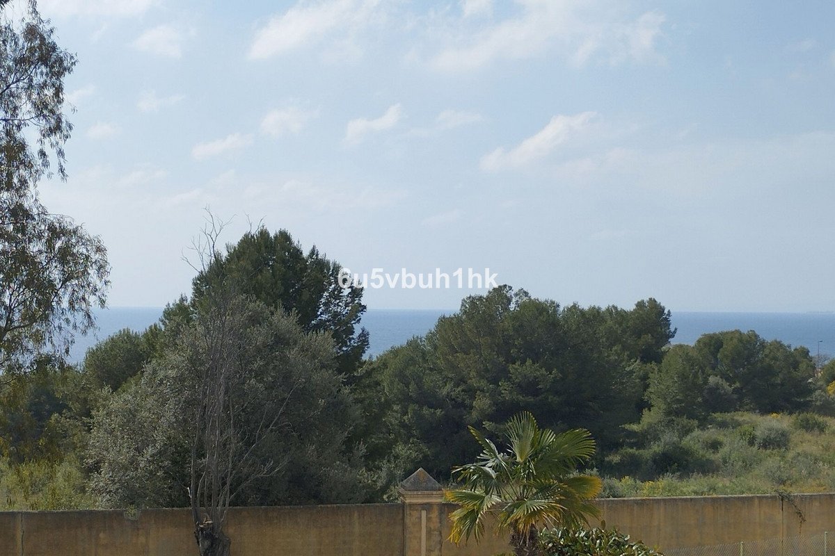 VL241686
