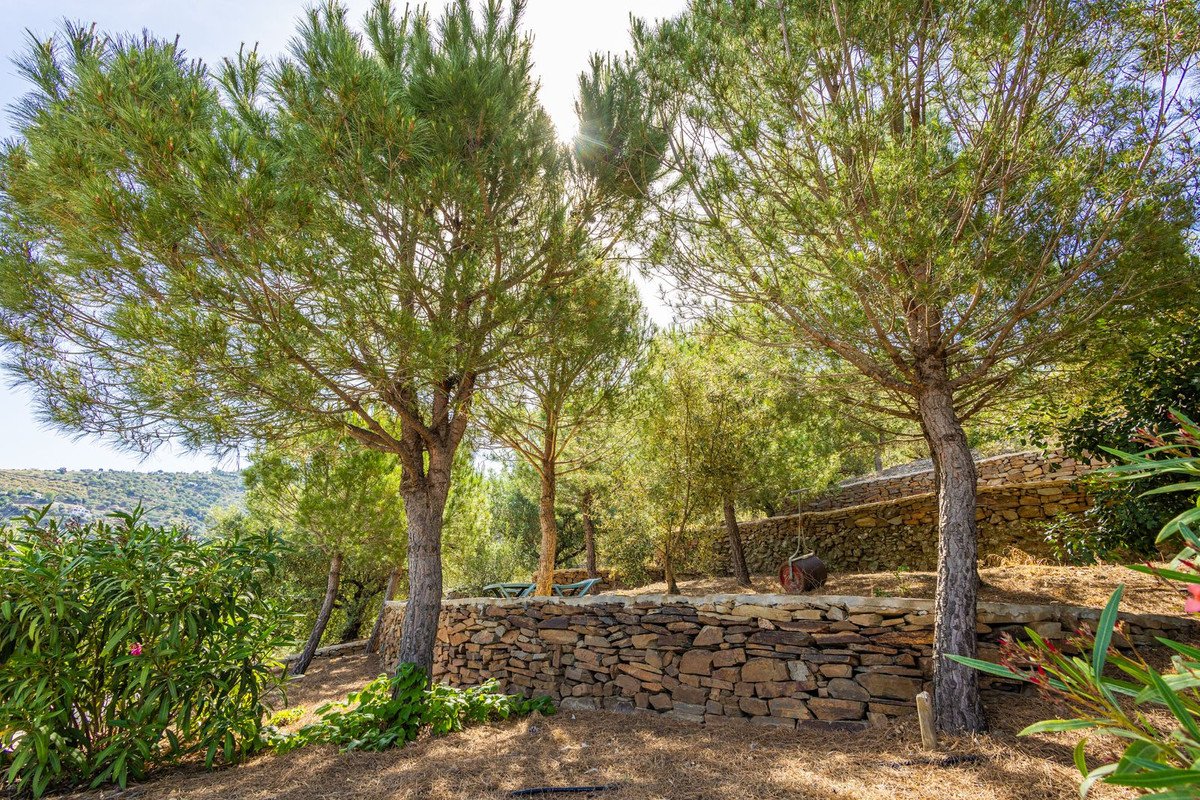 6 Bed Detached Villa in Sayalonga
