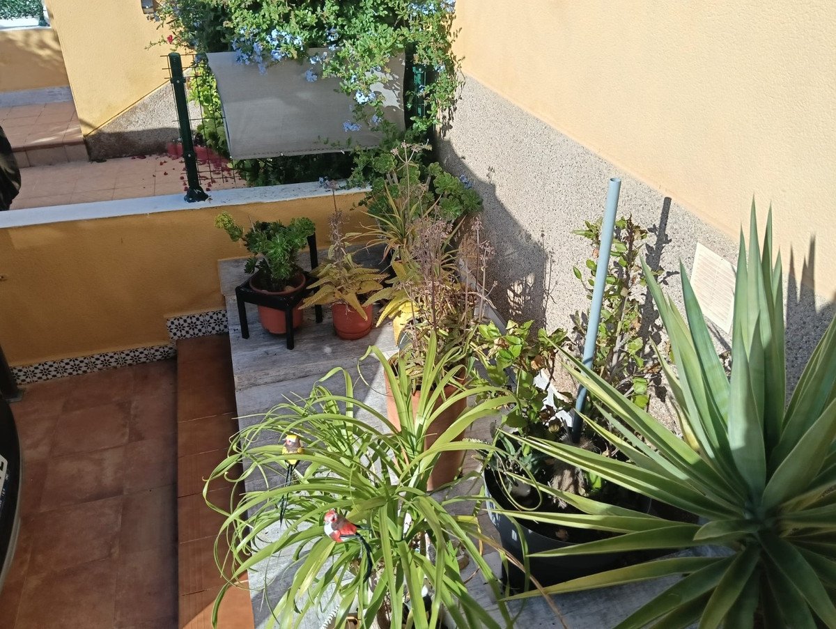 2 Bed Ground Floor Apartment in Los Montesinos