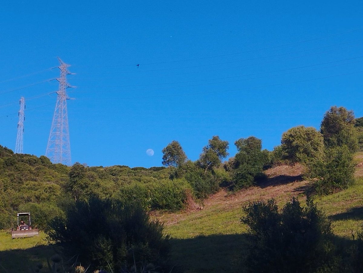 Land in San Martín de Tesorillo