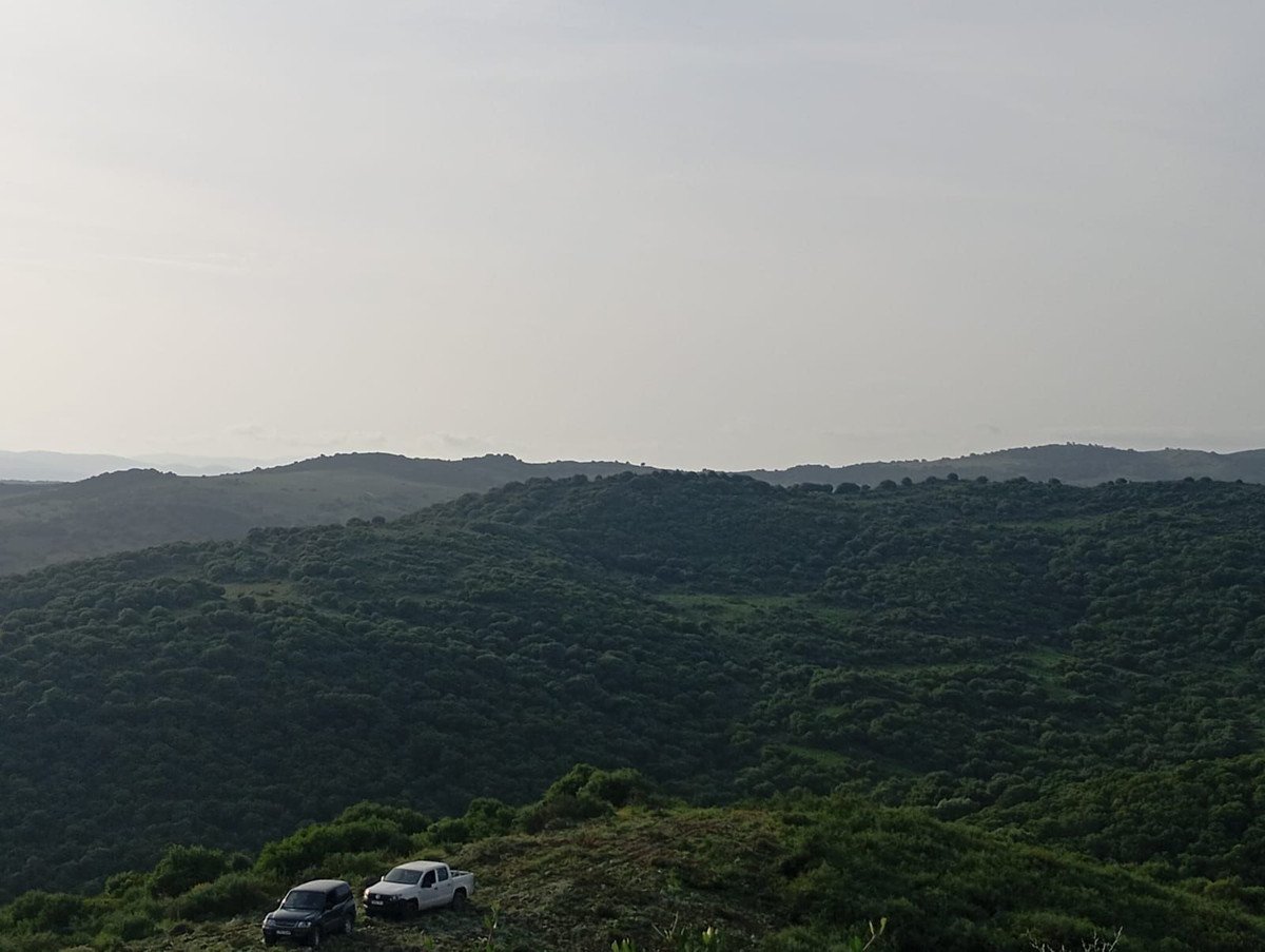 Land in San Martín de Tesorillo