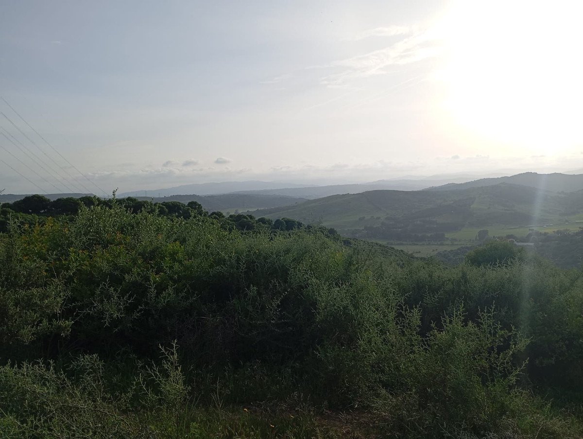 Land in San Martín de Tesorillo
