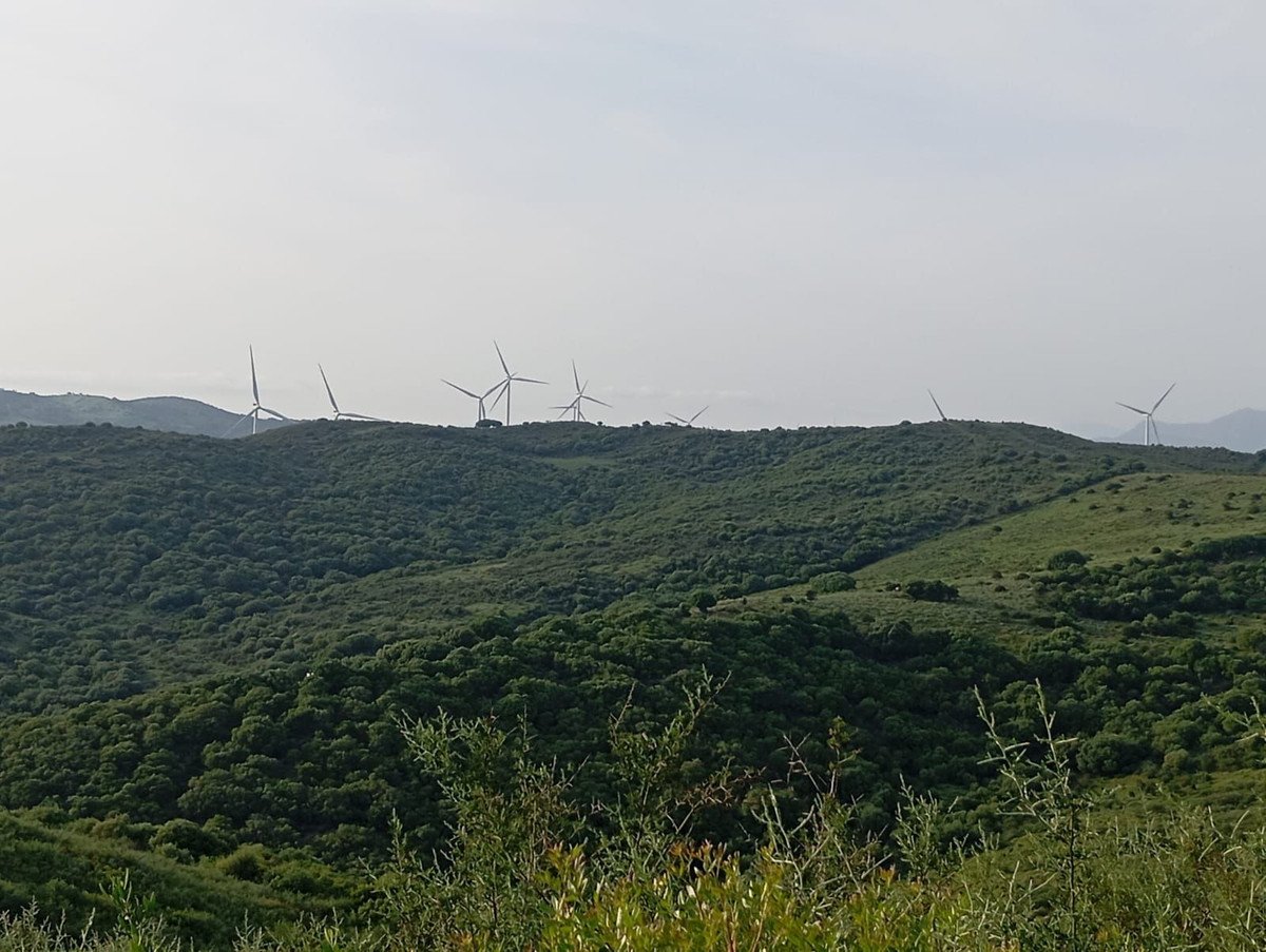 Land in San Martín de Tesorillo