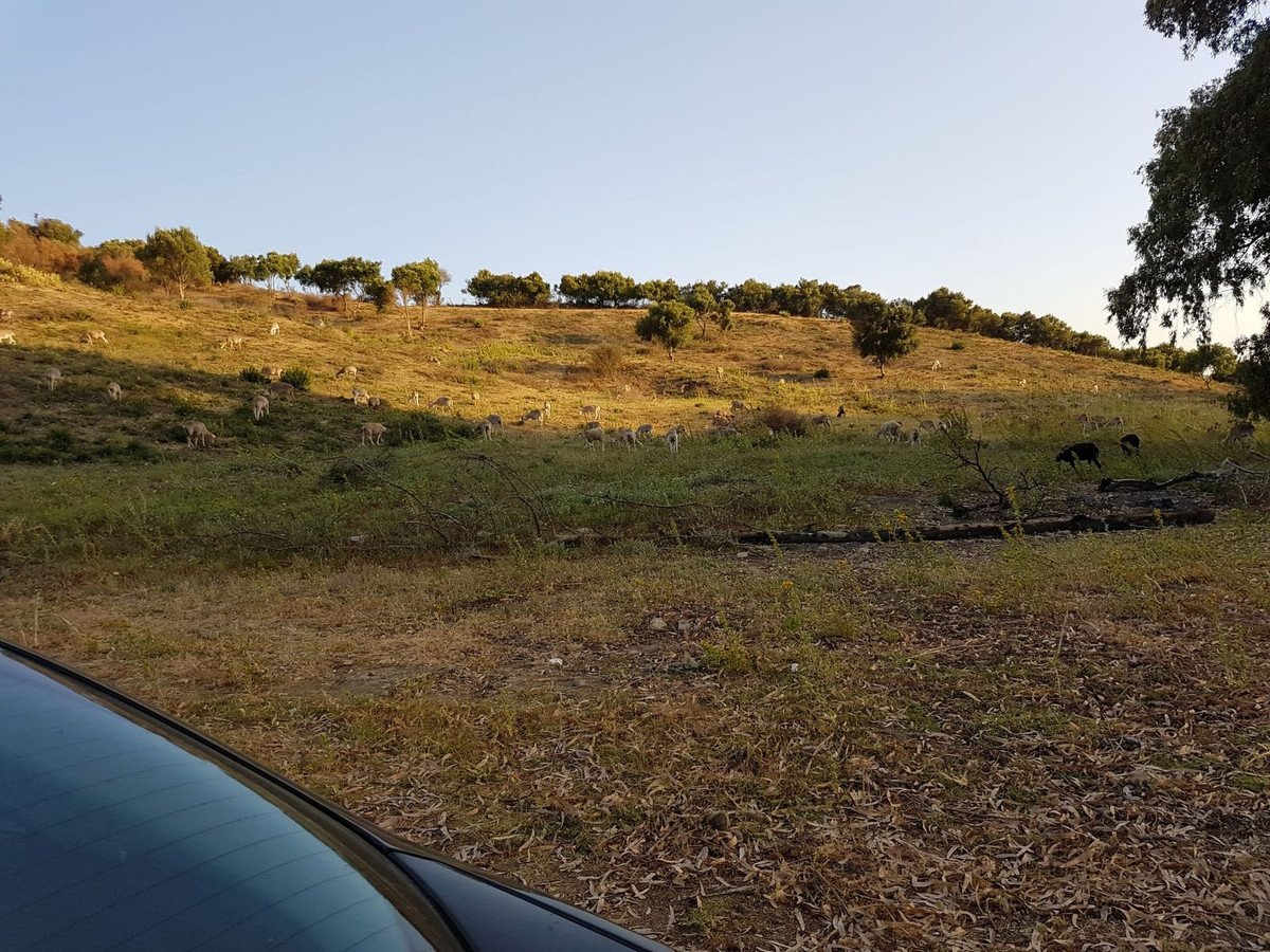 Land in San Martín de Tesorillo