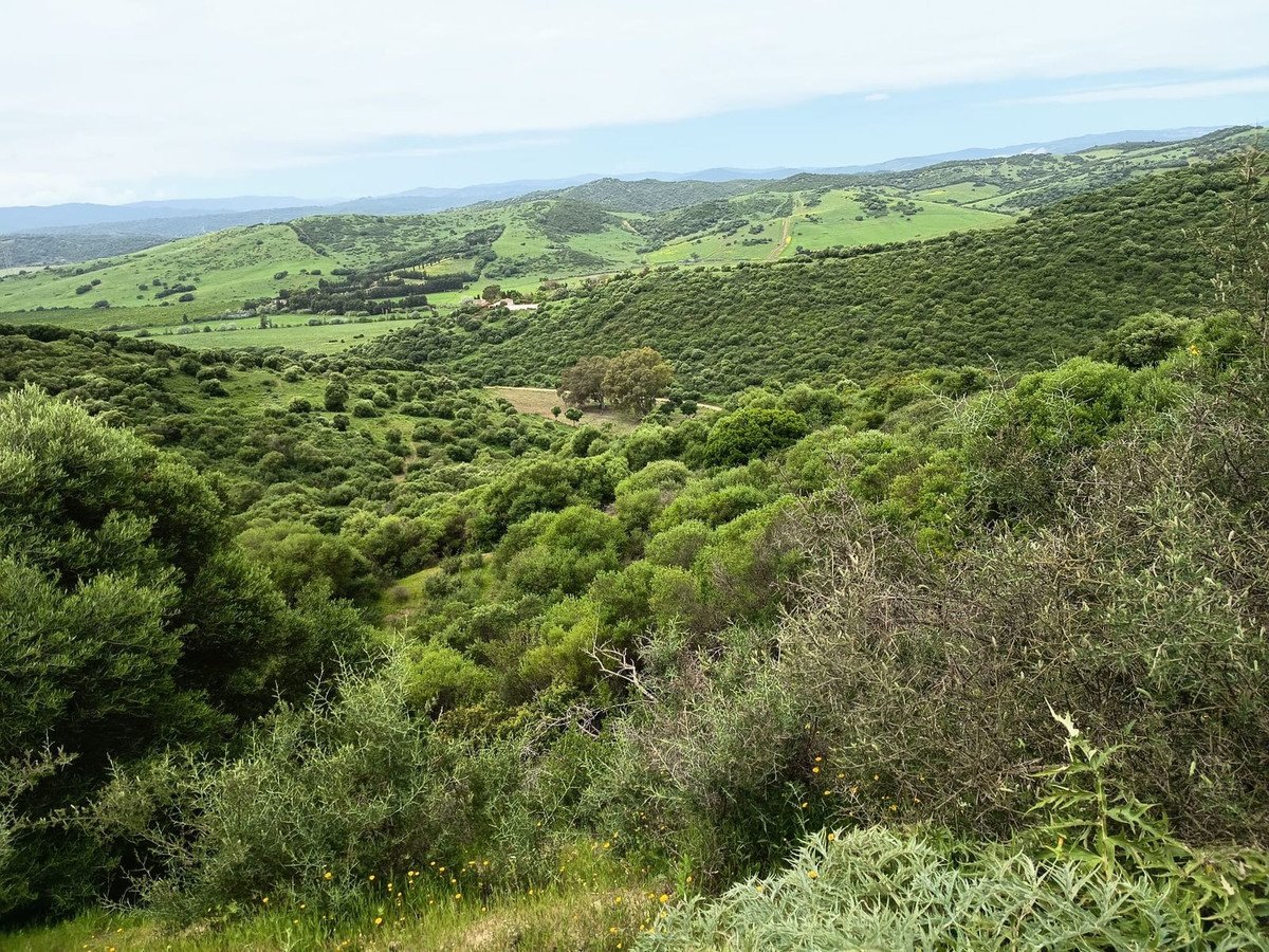 Land in San Martín de Tesorillo