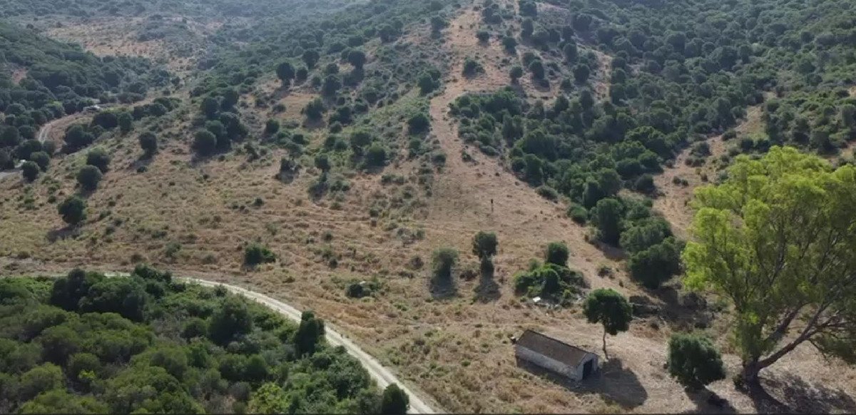 Land in San Martín de Tesorillo