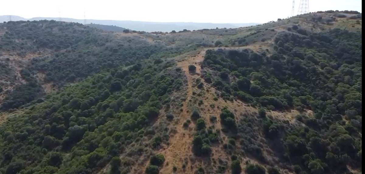 Land in San Martín de Tesorillo