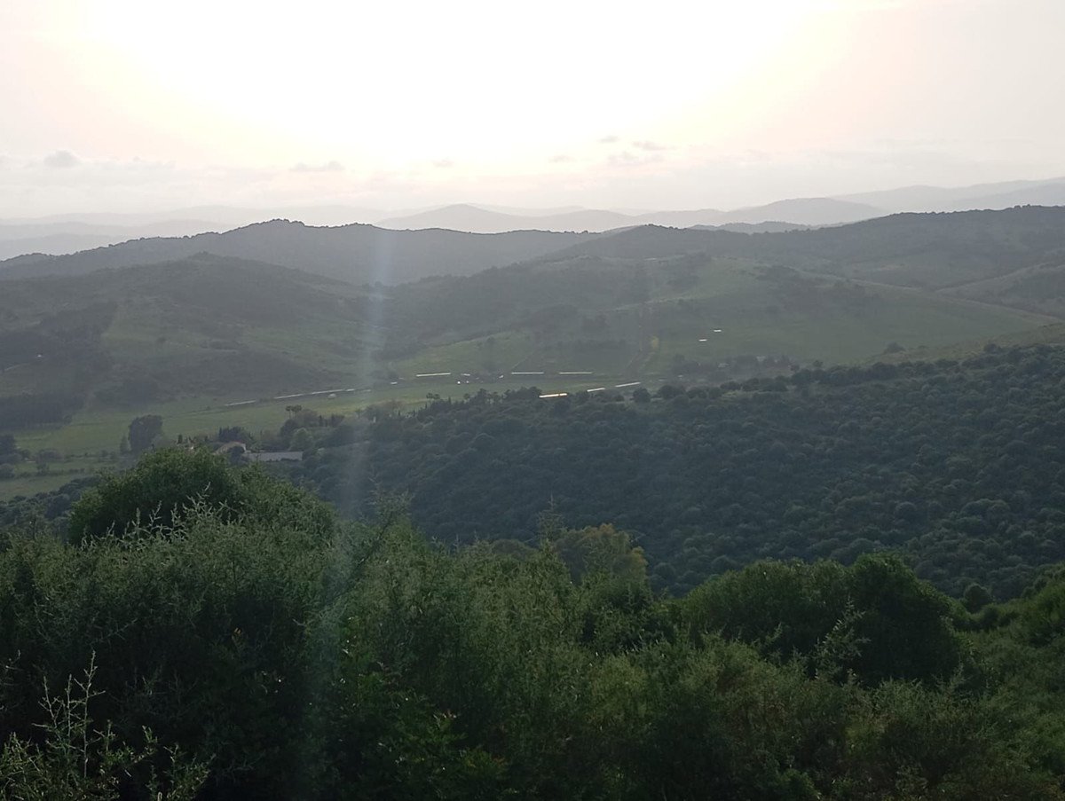 Land in San Martín de Tesorillo