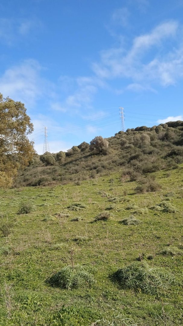 Land in San Martín de Tesorillo