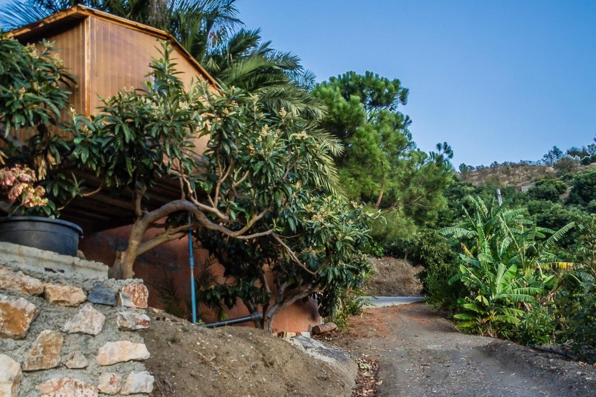 3 Bed Finca - Cortijo in Jete