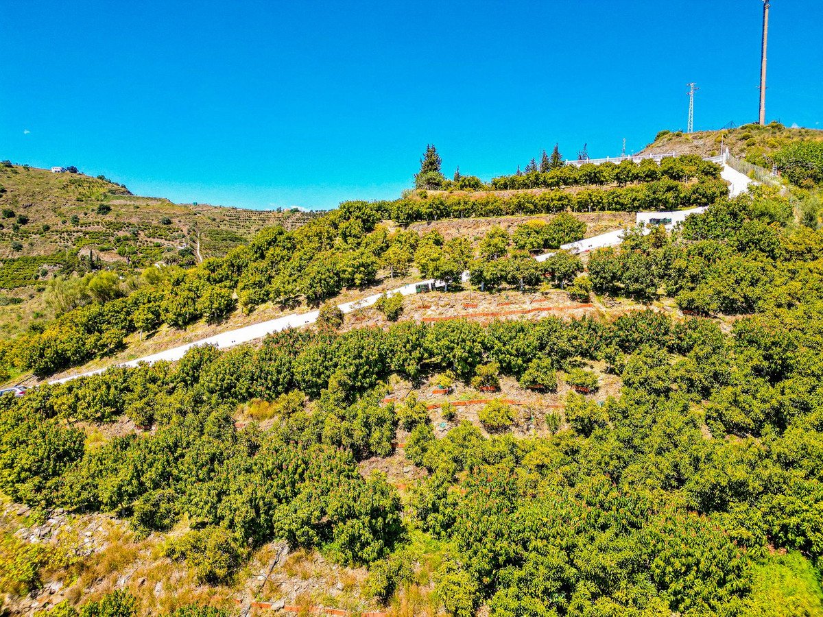 1 Bed Detached Villa in La Viñuela