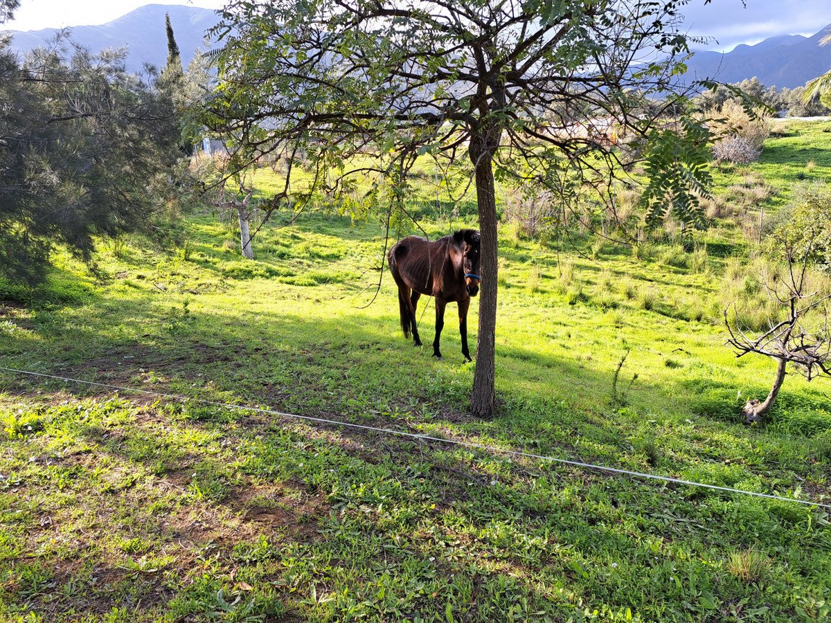 4 Bed Finca - Cortijo in Entrerrios