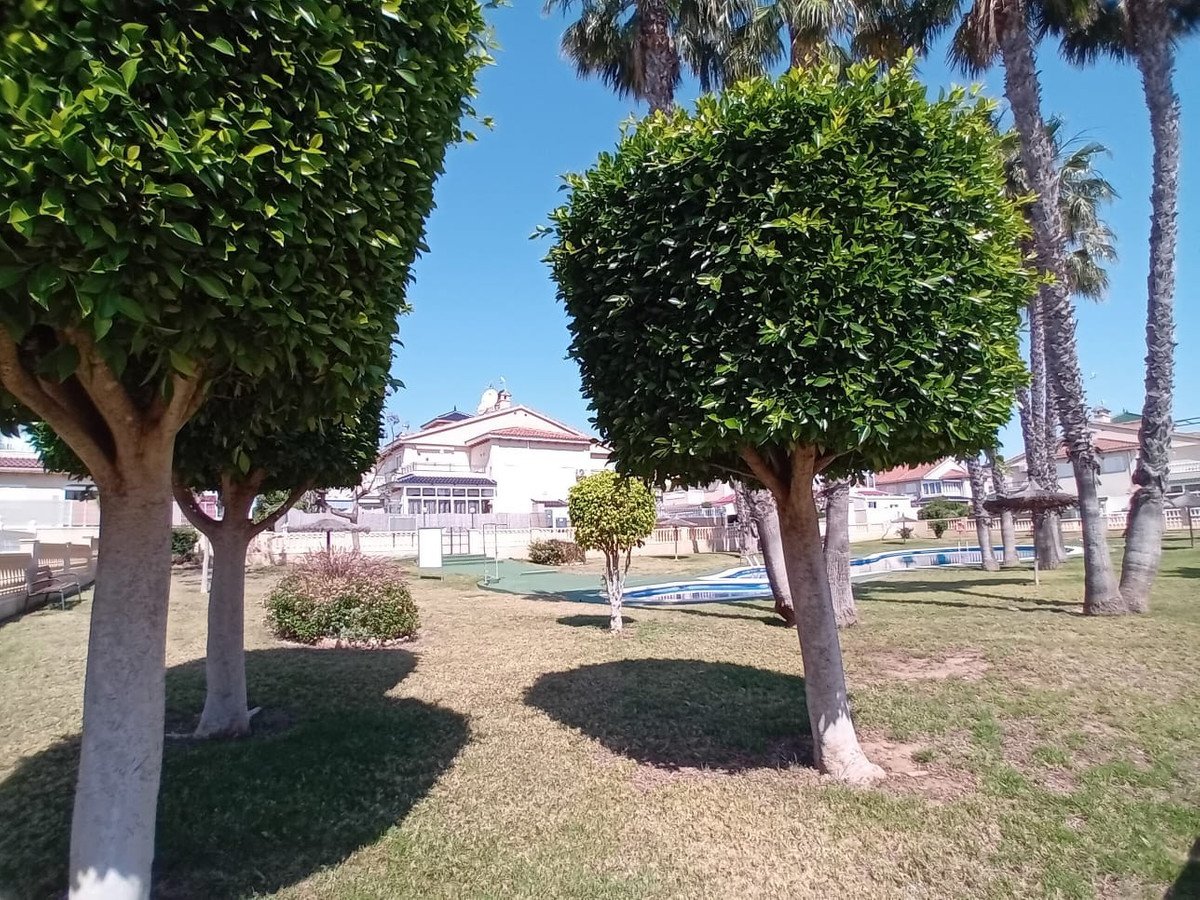 2 Bed Ground Floor Apartment in Alicante