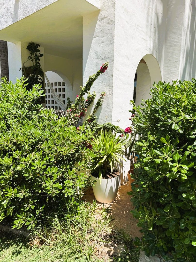 3 Bed Ground Floor Apartment in Manilva