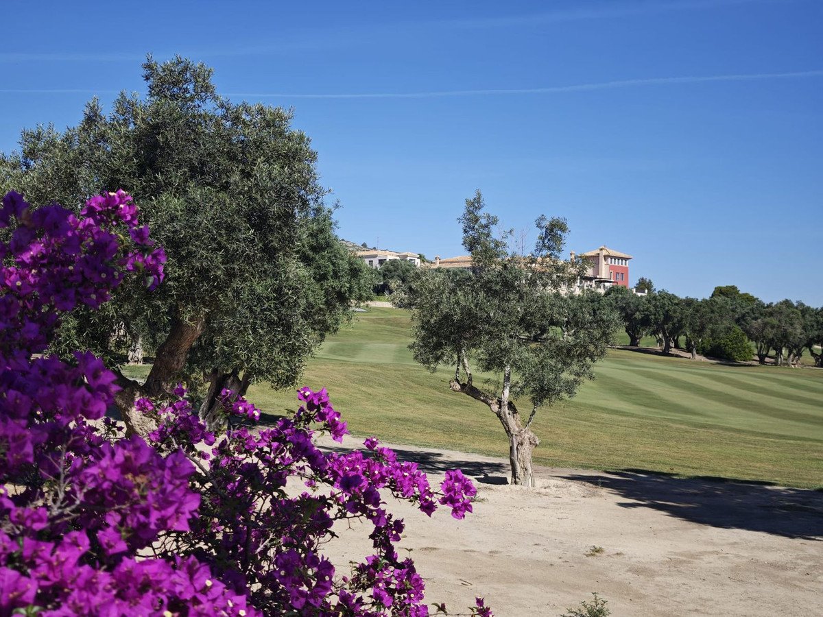 4 Bed Detached Villa in Algorfa