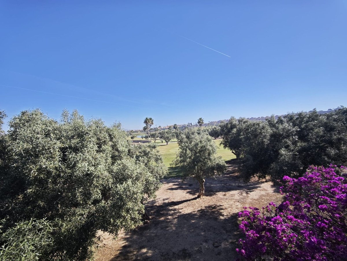 4 Bed Detached Villa in Algorfa
