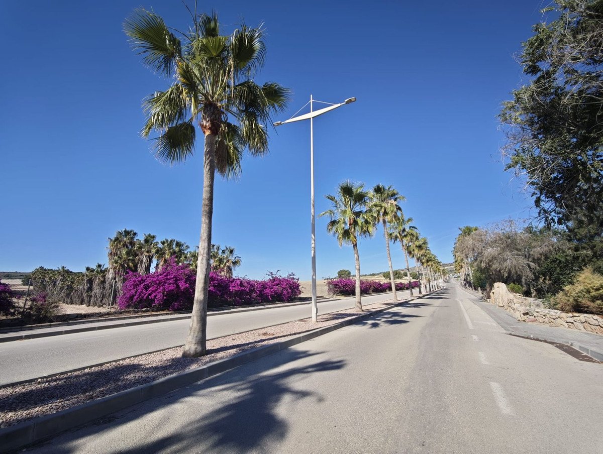4 Bed Detached Villa in Algorfa
