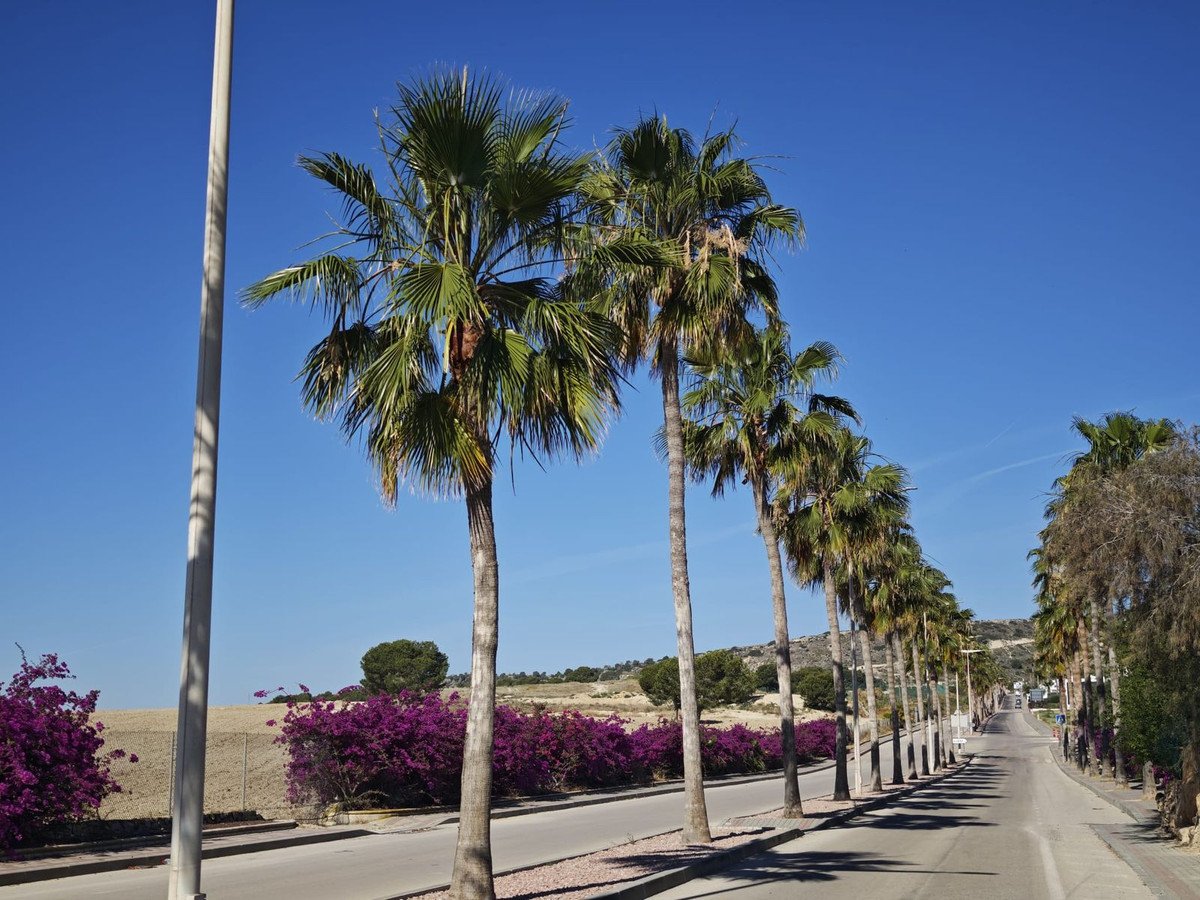 4 Bed Detached Villa in Algorfa